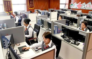 政企民共商，服務再升級——市區政務服務局召開企業咨詢服務專題調研會